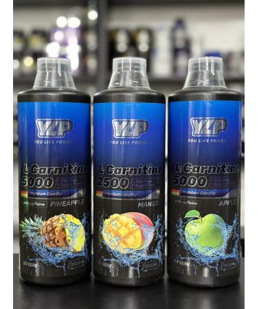 YLP L-Carnitine 3100 Frevator - Buy Online on GoSupps.com