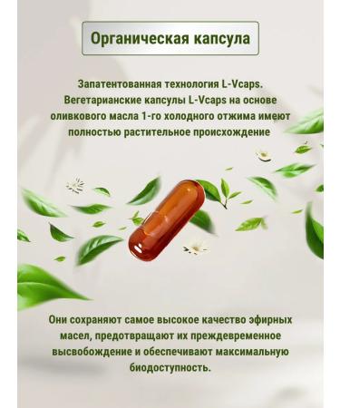 ooseptil Sinus capsule to facilitate breathing - Buy Online on GoSupps.com