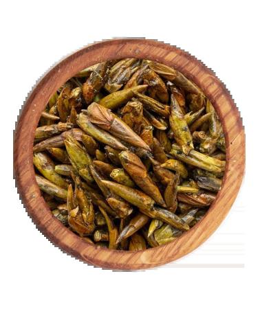 FitoContinent Popopolian kidneys 100 g - Buy Online on GoSupps.com