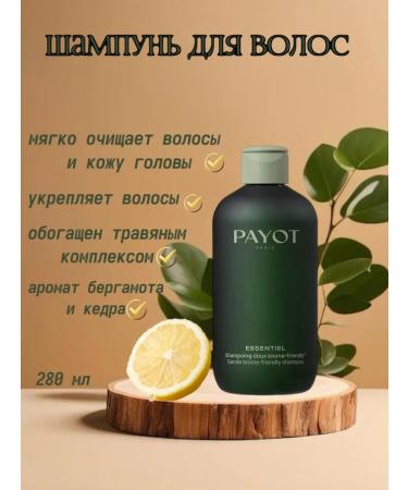 PAYOT Shampoo and hair balm - Buy Online on GoSupps.com