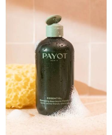 PAYOT Shampoo and hair balm - Buy Online on GoSupps.com