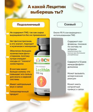 BCN Sunflower vitamins for liver and blood vessels - Buy Online on GoSupps.com