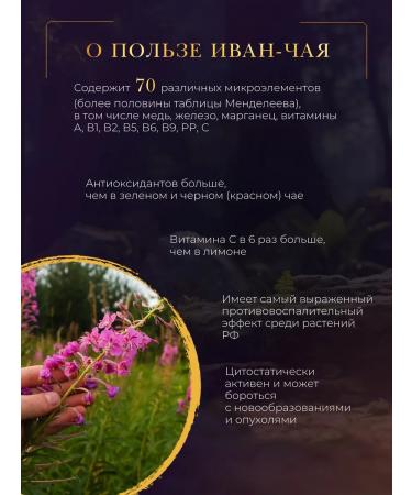 FOREST LINE Ivan - tea with chaga deep fermentation 100g - Buy Online on GoSupps.com