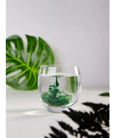 GUARCHIBAO Chlorophyll liquid food 500 ml for weight loss - Buy Online on GoSupps.com