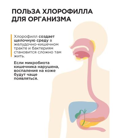 GUARCHIBAO Chlorophyll liquid food 500 ml for weight loss - Buy Online on GoSupps.com