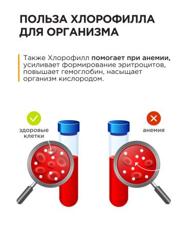 GUARCHIBAO Chlorophyll liquid food 500 ml for weight loss - Buy Online on GoSupps.com