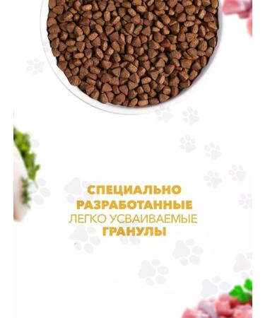 Ambrosia Dry food for sterilized cats 5kg - Buy Online on GoSupps.com