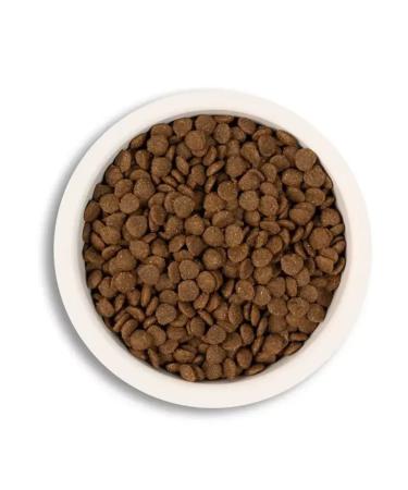 ANIMA Dry food for kittens and sterilized cats 10 kg - Buy Online on GoSupps.com