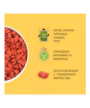 TiTBiT Dog treating Crushing Breakfast with beef 700 gr. - Buy Online on GoSupps.com