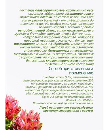 Lecraset Rodola four -petal roots red brush 2 pcs - Buy Online on GoSupps.com