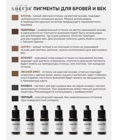 SHEFER Pigment for permanent tattooing eyebrows brunette - Buy Online on GoSupps.com