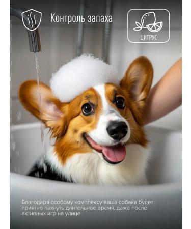 Anny Kelly Molting shampoo citrus aroma 500 ml - Buy Online on GoSupps.com