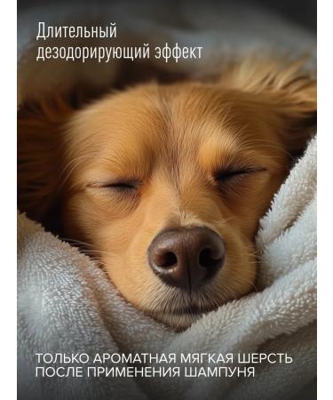 Anny Kelly Shampoo with the control of smell and oatmeal milk 500 ml - Buy Online on GoSupps.com