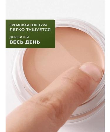 THE SAEM ConceERAL CONCELER Correct for CONCEALER 02 - Buy Online on GoSupps.com