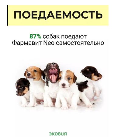 Farmavit Neo A complex of vitamins for puppies growth energy 2 - Buy Online on GoSupps.com