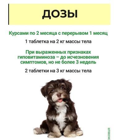 Farmavit Neo A complex of vitamins for puppies growth energy 3 l - Buy Online on GoSupps.com