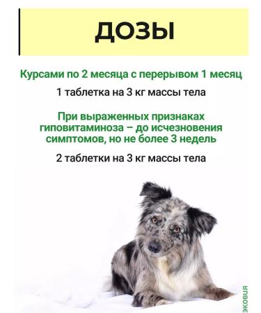 Farmavit Neo A complex of vitamins for older dogs 3 - Buy Online on GoSupps.com