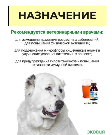 Farmavit Neo A complex of vitamins for elderly dogs 10 U - Buy Online on GoSupps.com