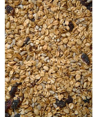 NastinSlastin Granola without sugar 500 g cedar nuts and cranberries - Buy Online on GoSupps.com