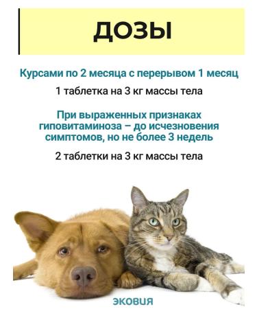 Farmavit Neo Complex of vitamins biotin for cats and dogs 2 U - Buy Online on GoSupps.com