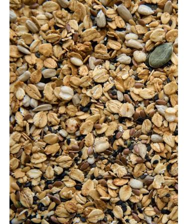 NastinSlastin Granola without sugar with seeds and chia 500g - Buy Online on GoSupps.com