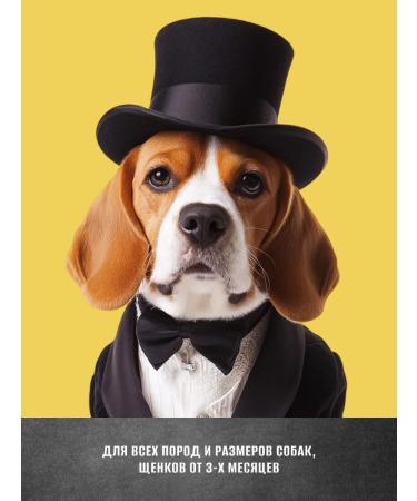 Made with conscience Trachea of beef boat 35-40cm 2 pieces - Buy Online on GoSupps.com