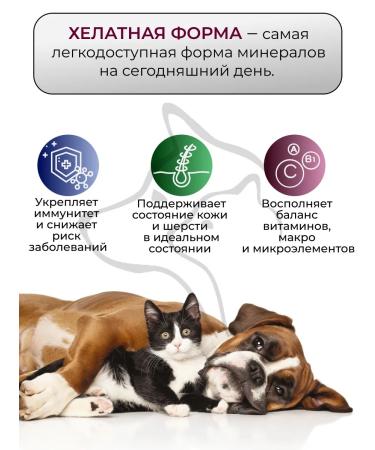 InterPet Vet Vitamins for dogs "Oligovet Pet" - Buy Online on GoSupps.com