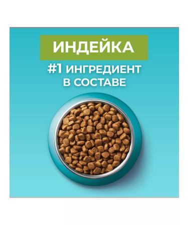 PURINA ONE For cats with sensitive digestion of a turkey 1.5 kg - Buy Online on GoSupps.com