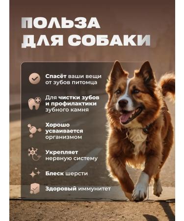 GoloDog A treat for dogs. Beef leg of a sawdog 3 pcs - Buy Online on GoSupps.com