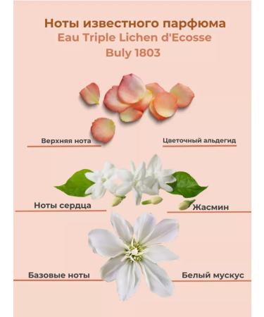 JMELLA Perfumed hair mask Queen 5 Hair Treatment - Buy Online on GoSupps.com