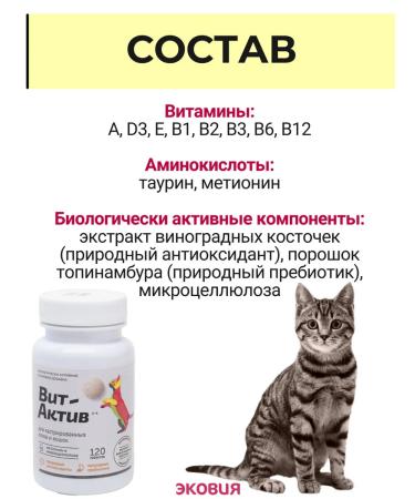 Vit-Active A complex of vitamins for castrated cats and cats 2 - Buy Online on GoSupps.com