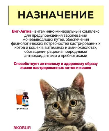Vit-Active A complex of vitamins for castrated cats and cats 2 - Buy Online on GoSupps.com