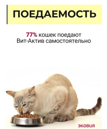 Vit-Active A complex of vitamins for castrated cats and cats 3 - Buy Online on GoSupps.com