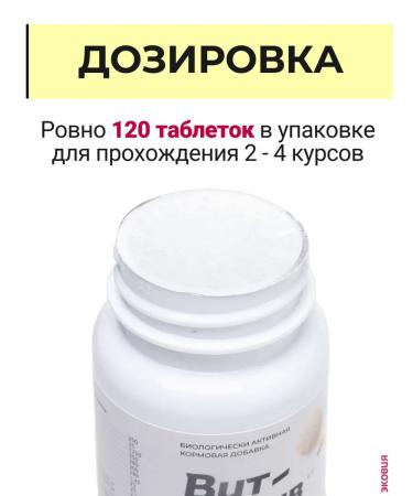 Vit-Active A complex of vitamins for castrated cats and cats 5 units - Buy Online on GoSupps.com