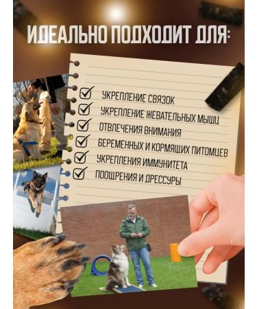 Pat Buffet Beef liver for dogs of goodies 1kg - Buy Online on GoSupps.com