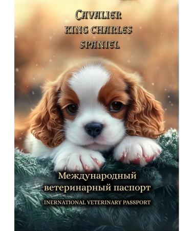 StarHoll International Veterinary Passport Vetpassport - Buy Online on GoSupps.com