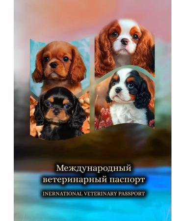 StarHoll International Veterinary Passport Vetpassport - Buy Online on GoSupps.com