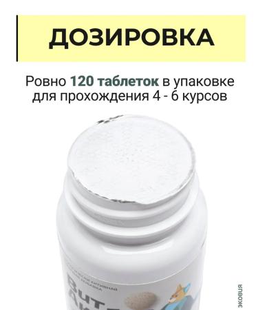 Vit-Active Vitamins complex for kittens 5 un - Buy Online on GoSupps.com
