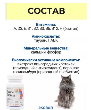 Vit-Active A complex of vitamins for cats of the health of wool 3 - Buy Online on GoSupps.com