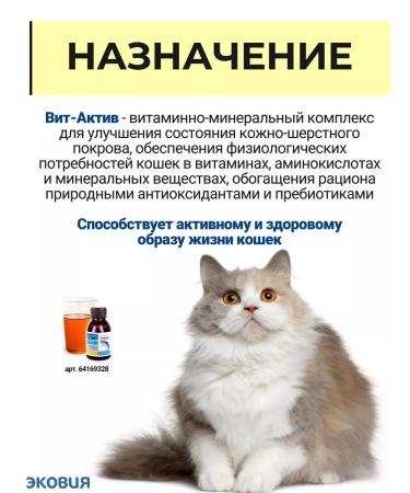 Vit-Active A complex of vitamins for cats of the health of wool 5 - Buy Online on GoSupps.com