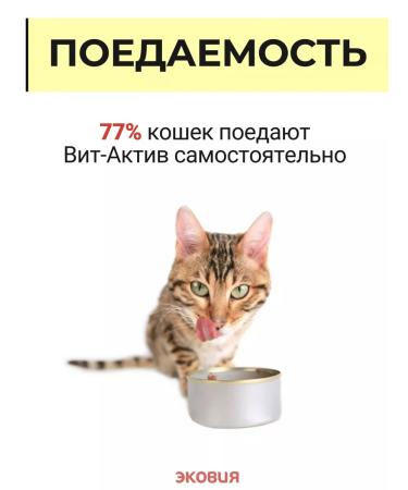 Vit-Active A complex of vitamins for cats Formula of Health 3 U - Buy Online on GoSupps.com