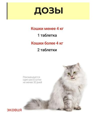 Vit-Active A complex of vitamins for cats Formula Health 5 U - Buy Online on GoSupps.com