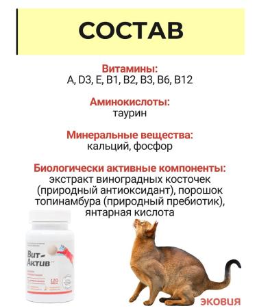 Vit-Active A complex of vitamins for cats Formula Health 10 U - Buy Online on GoSupps.com