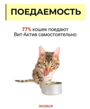 Vit-Active A complex of vitamins for cats Formula Health 10 U - Buy Online on GoSupps.com