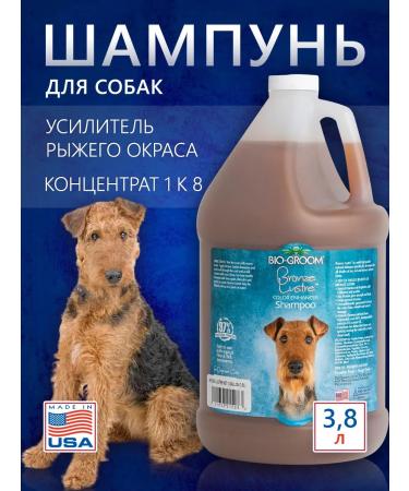 BioGroom Shampoo for red and brown color concentrate 1 8