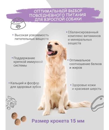 DILLY Dog foods dry turkey with rice 14 kg - Buy Online on GoSupps.com