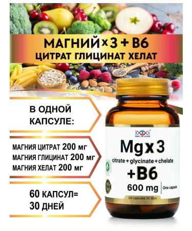 Energy Bio Systems Magnesium B6 Citrate Glycinate Helat 600 mg 60 capsules