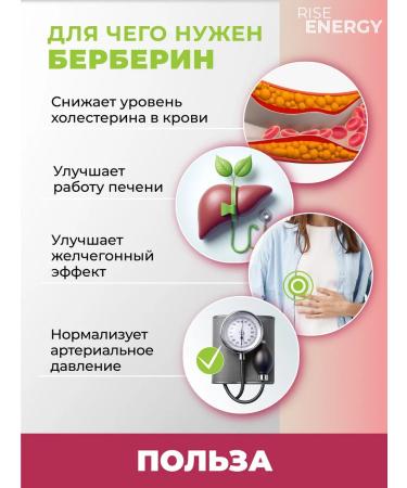 Rise Energy Berberin for weight loss 500 mg 60 capsules - Buy Online on GoSupps.com