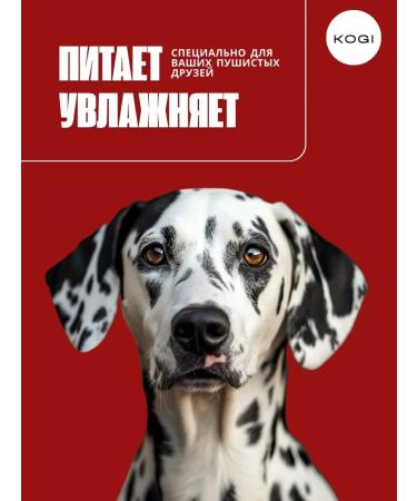 KOGI Clorhexidine dogs with perfumed dogs - Buy Online on GoSupps.com