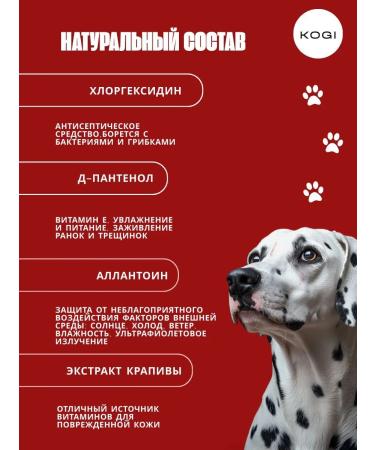 KOGI Clorhexidine dogs with perfumed dogs - Buy Online on GoSupps.com